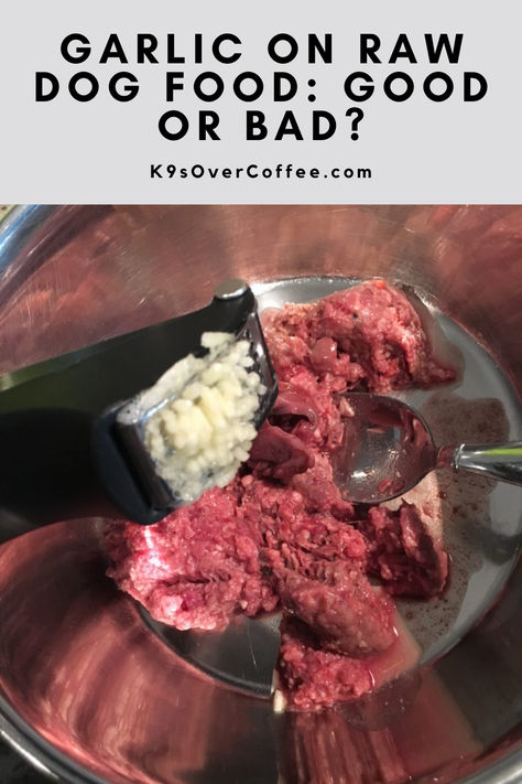 A garlic press with freshly pressed garlic above a stainless steel dog bowl with raw dog food. Garlic For Dogs, Benefits Of Garlic, Raw Dog Food, Garlic Benefits, Raw Dog Food Recipes, Can Dogs Eat, Dog Eating, Dog Food, My Dog