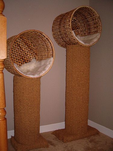 storage or display? Cat Pod, Diy Cat Tree, Cat House Diy, Cat Towers, Cat Playground, Cat Enclosure, Cat Condo, Cat Scratching Post, Cat Tower