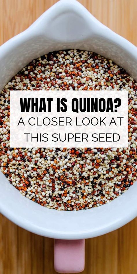 What is quinoa? It is a really versatile super seed packed with nutrition. Check out this useful resource and learn some great recipes of what to make with cooked quinoa, puffed quinoa, and quinoa flour. Quinoa Marinara, What Is Quinoa, Quinoa Flour, Quinoa Seeds, Vegetarian Protein Sources, Puffed Quinoa, Quick Protein, Cooked Quinoa, Vegetable Quinoa