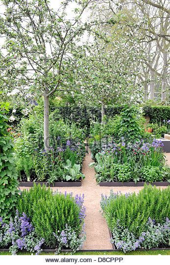 Vege Garden, Scott Street, Street Landscape, Space Garden, Courtyard Gardens, Herb Garden Design, Grow Vegetables, Potager Garden, Formal Garden