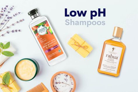 The Best Low pH Shampoos From 257+ pH-Balanced Hair Products We've Tested Rahua Shampoo, Project Notebook, Acv Rinse, African Lifestyle, Oily Hair Shampoo, Ph Balanced Shampoo, Mint Shampoo, Cute Natural Hairstyles, Oily Face