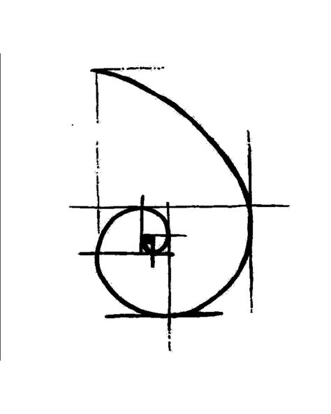 Phibonacci Tattoo, The Golden Ratio Tattoo, Fibbonaci Sequence Tattoo, Fibinocci Spiral Tattoo, Fibonacci Sequence Tattoo, Fibanocci Tattoos, Fibbonaci Spiral Tattoo, Fibbonaci Tattoo, Fibonacci Logo