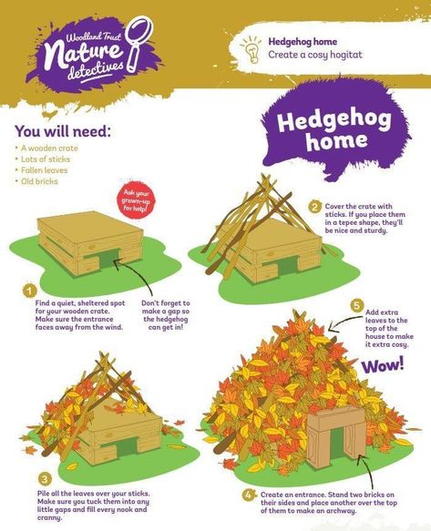 Make A Hedgehog House, Hedgehog House Diy How To Make, Diy Hedgehog House, Woodworking Software, About Trees, Forest School Activities, Hedgehog House, Nature School, Outdoor Education