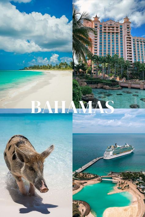 Bahamas aesthetic The Bahamas Aesthetic, Nassau Bahamas Aesthetic, Exuma Pigs, Bahamas Aesthetic, Bahamas Trip, Pig Beach, Bahamas Travel, Romantic Adventures, Nassau Bahamas