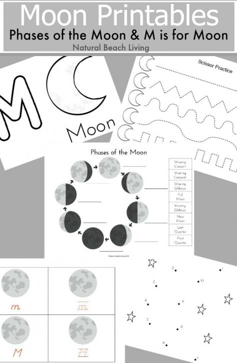 Montessori Astronomy, Goodnight Moon Activities, Moon Unit, Space Week, Space Activities For Kids, Moon Activities, Space Preschool, Montessori Science, Space Unit