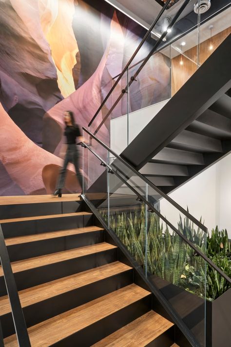 The Wilderness Society Offices - Washington DC | Office Snapshots Office Staircase Design, U Stairs Design, Stair Office, Staircase Landscape, Stairs Commercial, Office Staircase, Office Under Stairs, Commercial Stairs, Baffle Ceiling