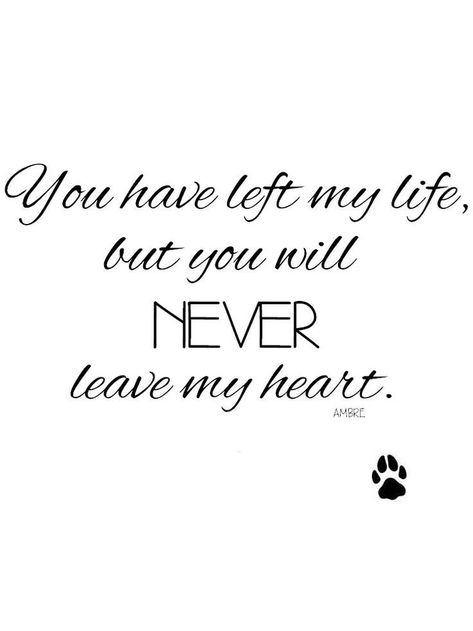 Losing A Dog Quotes, Losing A Pet Quotes, Dog Heaven Quotes, Dog Poems, Tattoo Artist Tattoo, Timeless Tattoo, Dog Quotes Love, Heaven Quotes, Artist Tattoo