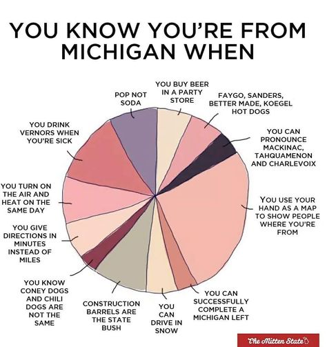 You Know You're From Michigan When Michigan Accent, Michigan Girl, Michigan Travel, State Of Michigan, West Michigan, Pure Michigan, Northern Michigan, Detroit Michigan, Michigan State