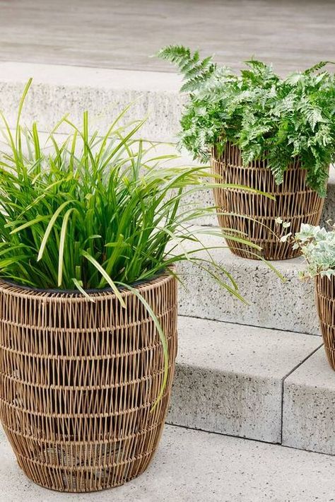 Rattan Planters Outdoor, Wicker Planters Outdoor, Cheap Garden Ideas, Garden Ideas On A Budget, Woven Planter, Garden Ideas To Make, Rattan Planters, Door Planter, Cheap Garden