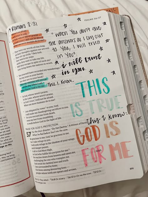 She Reads Truth Bible Aesthetic, Notes In Bible, She Reads Truth Bible Journaling, Organized Bible, She Reads Truth Bible, Bible Drawings, Journal Bible Quotes, Bible Journal Notebooks, Bible Doodles