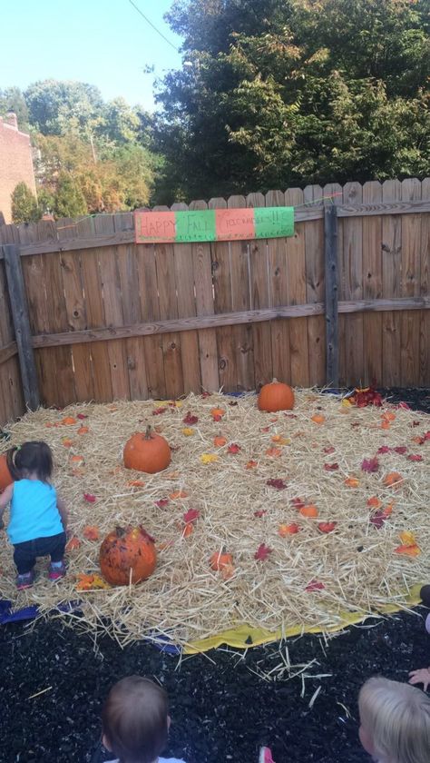 Teacher-Made Pumpkin Patch I teach toddlers (1.5-2.5 yrs old) so they can't go field trips. My coworker and I decided to bring the pumpkin patch to them. We purchased bales of hay/stray and baby pumpkins and placed them in a section of our playground...we put the hay on a parachute for easy clean-up. The children LOVED it!! Home Pumpkin Patch Ideas, Pumpkin Patch Ideas Diy, Pumpkin Patch At Home, Patch Ideas Diy, Pumpkin Patch Ideas, Diy Pumpkin Patch, Pumpkin Patch Diy, Pumpkin Patch Decor, Pumpkin Patch Birthday Party