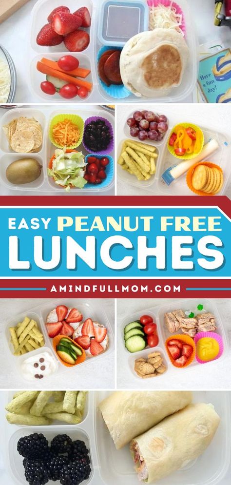 Take the stress out of packing with these nut-free lunch ideas! Your child will love this collection of easy back to school recipes that are wholesome and delicious. Plus, these peanut free lunches for kids are also great for adults! Easy Cold Lunch Ideas For Kids, Sack Lunch Ideas For Kids Field Trip, Peanut Free Lunches For Kids, Sack Lunch Ideas For Kids, Nut Free Lunches For Kids, Nut Free Kids Lunch, Cold Lunch Ideas For Kids, Camp Lunch, Gf Lunch