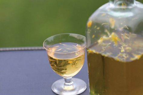 Dandelion Wine recipe | Epicurious.com Venti Aesthetic, Homemade Wine Recipes, Wine At Home, Dandelion Wine, Wine Aesthetic, Barolo Wine, Wine Recipe, Dandelion Tea, Pinot Noir Wine