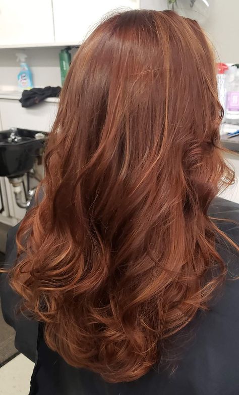 Copper Hair Inspo Aesthetic, Auburn Hair With Subtle Highlights, Hair Color Ideas For Gueritas, Copper Hair W Highlights, Light Brunette Hair With Red Undertones, Hair Color Ginger Brown, Auburn With Lowlights, Ginger Hair On Brown Hair, Hair Color Ideas For Mexicans