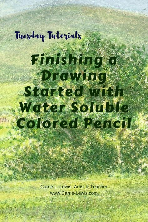 Finishing a Drawing Started with Water Soluble Colored Pencil — Carrie L. Lewis, Artist Water Color Pencils, Pencil Techniques, Colored Pencil Tutorial, Colored Pencil Techniques, Colored Pencil Drawing, Coloured Pencils, Color Pencil Drawing, Color Pencil, Watercolor Pencils