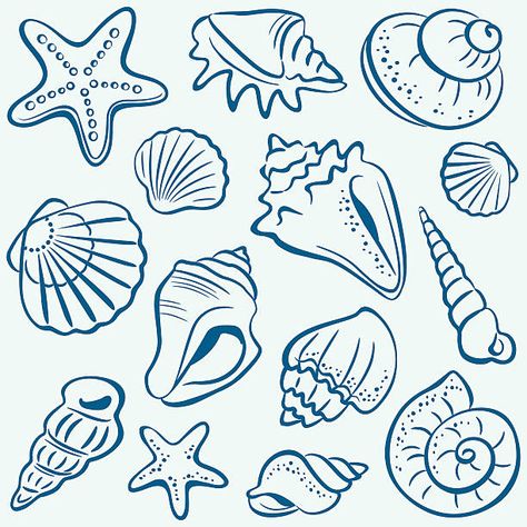 Shells Collection, Seashell Drawing, Shell Drawing, Beach Drawing, Nautical Pattern, Small Wall Art, Shell Collection, Surf Art, Seamless Background