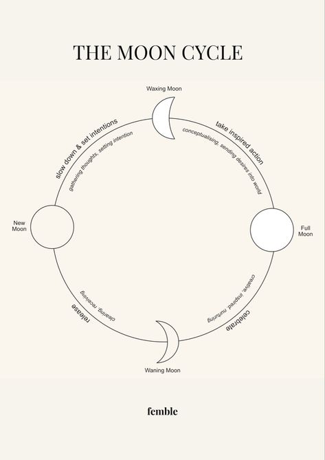 An infographic depicting the cycle of the moon. It includes tips on how to harness the energy of the moon best. Living By The Moon, Moon Cycling, Cycle Awareness, Natural Cycles, Moon Cycle, 타이포그래피 포스터 디자인, Lunar Cycle, Cycle Of Life, Moon Cycles