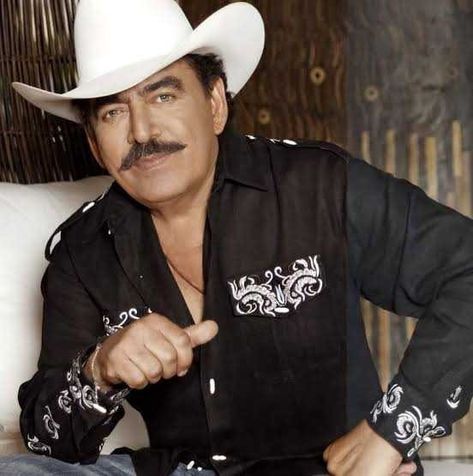 Mexican Board, Spanish Singers, Joan Sebastian, Mexican Culture Art, Mexican Culture, Culture Art, Diva, Collage, Pins