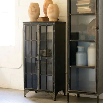 Apothecary Display, Industrial Cabinet, Wrought Iron Furniture, Door Accent Cabinet, Apothecary Cabinet, Iron Accents, Console Cabinet, Metal Cabinet, Accent Doors