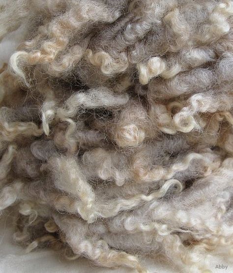 #wool  #neutrals  #texture  #color blog  #aesthetic blog Crismas Tree, Sheep Farm, Spinning Yarn, Wool Art, Farm Barn, The Shepherd, Perfect World, Textile Artists, Sheep Wool