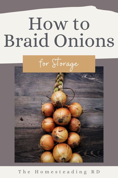 Learning how to braid onions is fun, easy and very functional! Braiding them allows for great airflow (reducing the risk of them rotting or getting moldy) and they are easy to hang for long-term storage. No need for storage bins! #braidonions #onionbraids #braidingonions #howtobraidonions #onionstorage #storingonions #onioncuring How To Hang Onions For Storage, How To Braid Onions For Storage, How To Dry Onions For Storage, Braiding Onions For Storage, Drying Onions For Storage, Onion Braiding, How To Store Onions Long Term, Braided Onions, How To Store Onions