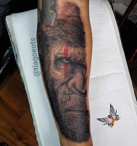 Ceaser Tattoo Monkey, Ceaser Ape Tattoo, Koba Planet Of The Apes Tattoo, Cesar Planet Of The Apes Tattoo, Caesar Tattoo Ape, Caesar Planet Of The Apes Tattoo, Ape Shall Not Kill Ape Tattoo, Gorilla Eyes Tattoo, Ape Tattoos For Men