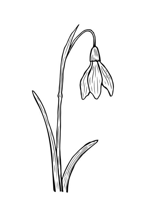 Doodle snowdrop with stem and leaves. A sketch of the first spring flower. Vector hand-drawn illustration in outline style. Perfect for your projects, cards, invitations, print, decor, logo. Snowdrop Outline, Decor Logo, Flower Vector, Print Decor, Spring Flower, Hand Drawn, The First, Sketch