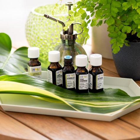 Recipes by Use | Aura Cacia Homemade Patio, Aura Cacia Essential Oils Recipes, Essential Oils Recipes, Aura Cacia Essential Oils, Citronella Essential Oil, Herbal Salves, Shake Bottle, Lemon Eucalyptus, Lemon Tea