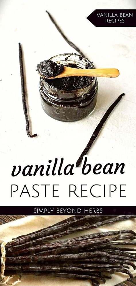 Discover our Vanilla Bean Paste Recipe in the Vanilla Bean Recipes collection. Made with just 2 ingredients, this homemade paste offers a rich, intense vanilla flavor, surpassing store-bought versions. Ideal for adding a burst of vanilla to cookies and various desserts. Perfect for those who love real food recipes and experimenting with unique flavors. Explore more DIY health and green living recipes at simplybeyondherbs.com. Vanilla Bean Recipes Desserts, Vegan Diy Gifts, Vanilla Bean Paste Recipe, Bean Paste Recipe, Vanilla Bean Recipes, Diy Natural Beauty Recipes, Vanilla Extract Recipe, Vanilla Bean Cheesecake, Vanilla Bean Paste