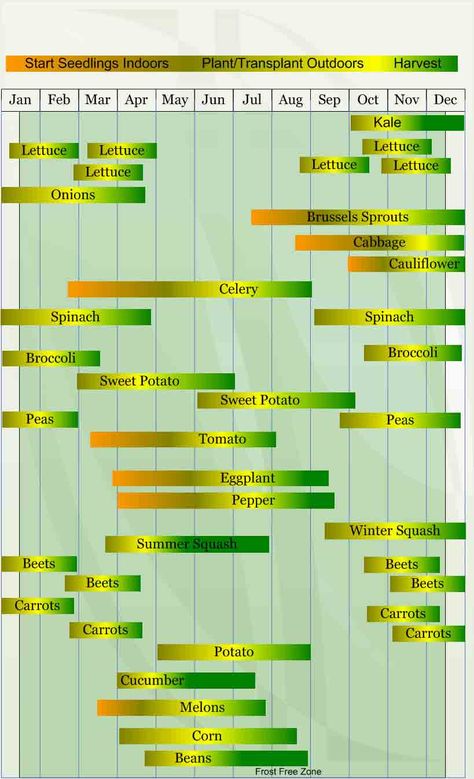 Zone 10 Planting Guide Vegetable Growing Chart, Vegetable Planting Calendar, Vegetable Planting Guide, Vegetable Planting, Seedlings Indoors, When To Plant Vegetables, Planting Calendar, Planting Guide, Backyard Garden Layout