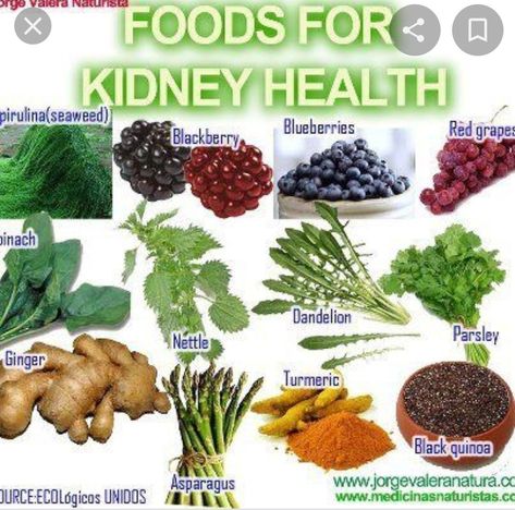 Good For Kidney Health, Foods For Kidney Health, Kidney Detox Cleanse, Kidney Healthy Foods, Food For Kidney Health, Kidney Recipes, Kidney Detox, Healthy Kidneys, Kidney Diet