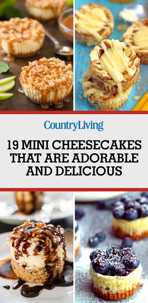 Easy Mini Cheesecake Recipe, Desserts Nutella, Biscotti Cheesecake, Mini Cheesecakes Easy, Smores Dessert, Mini Cheesecake Recipes, Fruity Cake, Cheesecake Mini, Chocolate Chip Cheesecake