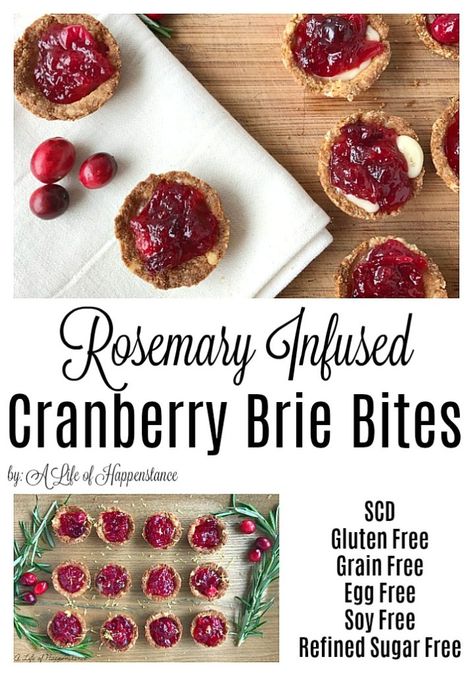 Cranberry Brie Bites have an almond flour crust before being topped with brie and honey cranberry sauce. This bite sized appetizer (or snack) is a perfect addition to a holiday party or Christmas. They're SCD (specific carbohydrate diet), gluten free, grain free, egg free, soy free, low lactose, and refined sugar free. Brie And Honey, Healthy Holiday Appetizers, Cranberry Brie Bites, Cranberry Bites, Almond Flour Crust, Brie Cranberry, Best Holiday Appetizers, Cranberry Brie, Tartlets Recipe