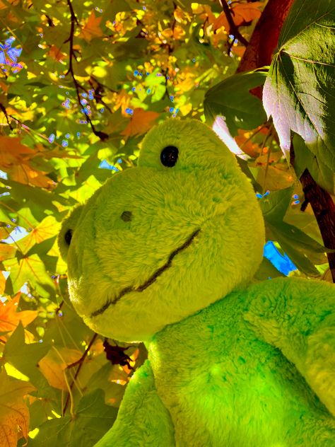 Build A Bear Frog Aesthetic Wallpaper, Bab Frogs, Frog Teddy Bear, Buildabear Frog Aesthetic, Frog Teddy Aesthetic, Frog Toy Aesthetic, Sweet Frog, Indie Decor, Frog Pictures