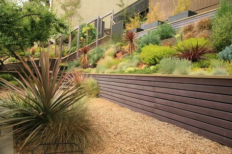 Contemporary Retaining Wall Ideas, Wood Retaining Wall Ideas Hillside, Modern Retaining Wall Ideas, Small Retaining Wall Ideas, Low Retaining Wall Ideas, Hilly Garden, Small Garden Retaining Wall, Retaining Wall Ideas Hillside, Small Retaining Wall