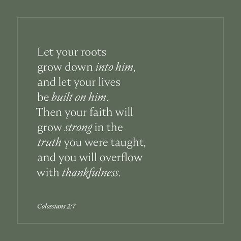 Let Your Roots Grow Down Into Him, Rooted Bible Verse, Scripture About Growing In Faith, Letterboard Scripture, Growing Bible Verse, Rooted In Faith, Colossians 2:7, Nlt Bible Quotes, Growth Bible Verses