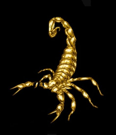 Gold Scorpion, Scorpio Art, Egypt Concept Art, Scorpio Man, Broken Screen Wallpaper, The Scorpio, Jelly Wallpaper, Bull Art, Galaxies Wallpaper