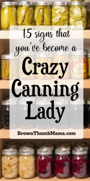 Are you crazy about canning? Have more Ball jars than you could possibly count? Then you're probably a crazy canning lady. Here's a quick checklist to help you determine if your canning obsession has gone too far. Canning Pressure Cooker, Canning Granny, Canning 101, Vegetable Harvest, Canned Food Storage, Canning Tips, Food Dehydrator, Pressure Cooker Chicken, Home Canning