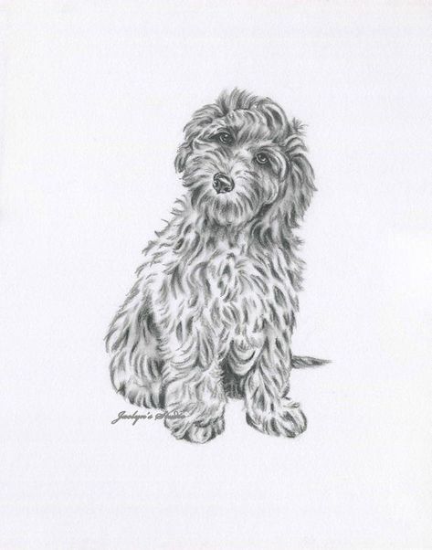 Goldendoodle Art, Labradoodle Art, ORIGINAL goldendoodle Sketch, 11x14" Dog Art, Dog Drawing, Dog Sketch, golden doodle Gift, Doodle Decor | Goldendoodle art, Labradoodle art, Dog drawing Labradoodle Tattoo, Labradoodle Drawing, Labradoodle Art, Goldendoodle Art, Black Labradoodle, Labradoodle Dogs, Puppy Drawing, Australian Labradoodle, Doodle Puppy