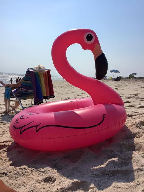 Flamingo Floaties, Pool Party Floats, Red Swan, Swimming Laps, Speed Draw, Flamingo Pool Float, Blow Up Pool, Flamingo Float, Pool Party Kids