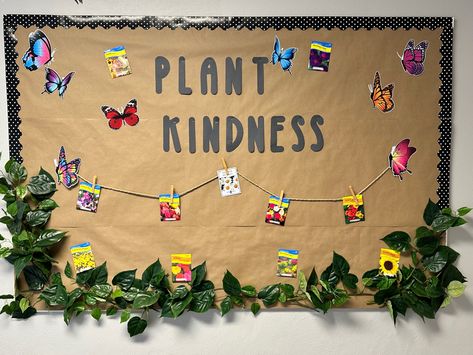 Spring, Seeds, Plant Kindness, Church Bulletin Board Seeds Of Kindness Bulletin Board, Bulletin Board Plant Theme, Lets Root For Each Other Bulletin Board, Plant Kindness Bulletin Board, Kindness Blooms Here Bulletin Board, Plant Kindness, Kindness Bulletin Board, Church Bulletin Boards, Preschool Bulletin