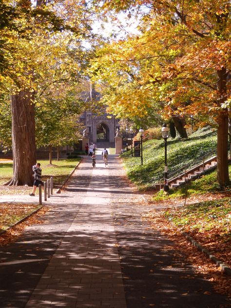 Princeton campus in the Fall Princeton University Aesthetic Campus, Fall Campus Aesthetic, Fall On Campus, Fall University Aesthetic, Princeton Aesthetic, Princeton University Aesthetic, College Campus Aesthetic, Princeton Campus, Campus Photography