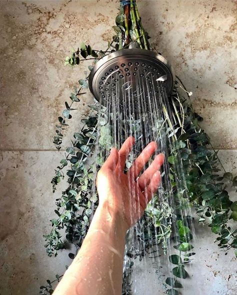 What is Eucalyptus Shower & Why is it a Popular Instagram Trend Green Spa Aesthetic, Eucalyptus Shower Head Aesthetic, Taking A Shower Aesthetic, Shower Relaxing, Relaxing Home Decor, Shower Aesthetic, Medicinal Oils, Water Stream, Allergy Remedies