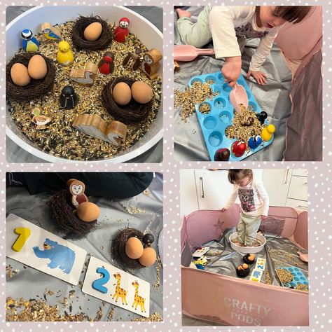 This evening we enjoyed a little bird themed sensory tray with a little bit of counting as our focus. I used bird seed as our sensory base, our Lanka Kade birds and our beautiful bird pegs from @sarahspegs (use code Sarah10) for 10% off. My little girl enjoyed scooping and pouring the bird seed into some ice cube trays pretending to feed the birds and we also practised a bit of counting/ number recognition with our nests and eggs by counting whether each nest had one or two eggs in. We ha... Feed The Birds, Sensory Tray, Counting Numbers, Number Recognition, Beautiful Bird, Ice Cube Trays, Play Ideas, Bird Seed, Autumn Activities