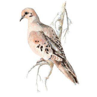 Dove Watercolor, Dove Drawing, Lounge Art, Dove Painting, Art Alevel, Watercolor Birds, Nature Sketch, Turtle Dove, Tattoos Skull