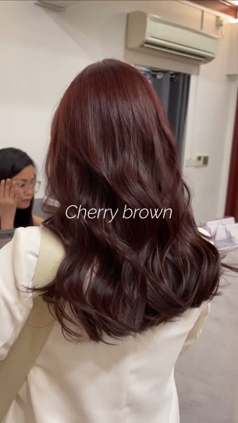 Cherry Chestnut Hair, Brown Wine Hair Color, Cherry Mocha Hair, Cherry Brown Curly Hair, Chocolate Cake Hair, Brown Cherry Hair Color, Red Tinted Brown Hair, Cherry Brown Hair Color, Hair Color Without Bleach