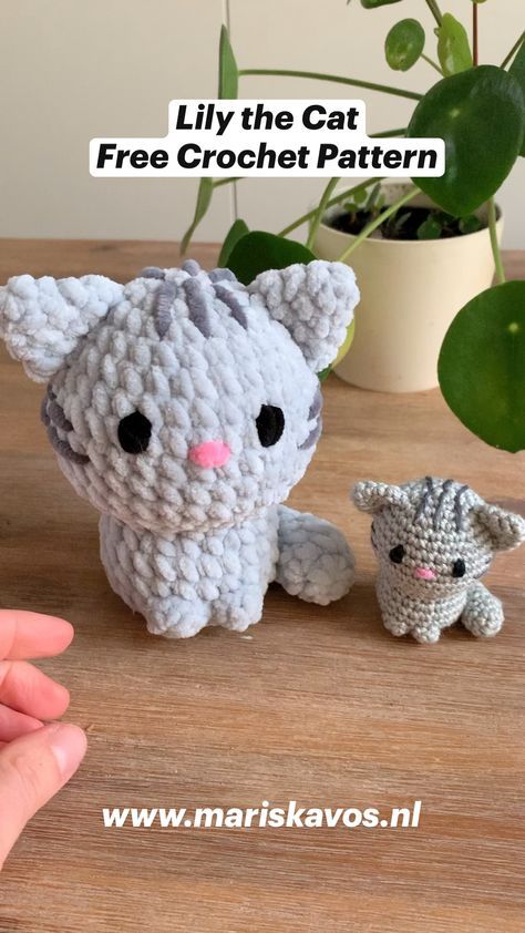 Crochet amigurumi Crochet Cat For Beginners, Crochet Cat Tutorial, Cat Crochet Pattern Free Amigurumi, Cat Crochet Tutorial, Amigurumi Cat Free Pattern, Crochet Lily, Crochet Cat Toys, Giraffe Crochet, Easy Crochet Animals