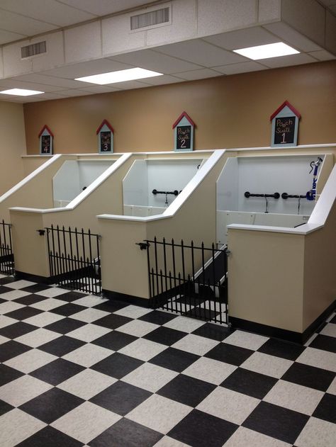 Dog Wash Tub, Grooming Salon Ideas, Dog Grooming Salon Ideas, Dog Boarding Facility, Pet Grooming Salon, Dog Grooming Shop, Dog Spa, Dog Washing Station, Dog Hotel