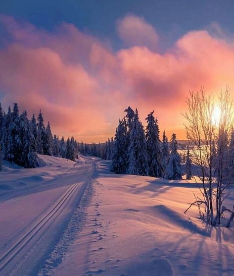 Notebook Background, Background Cool, Winter Sunset, Love Funny, Stavanger, Trondheim, Winter Wallpaper, Winter Scenery, Winter Beauty