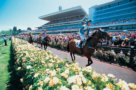 The Melbourne Cup and Spring Racing Carnival. #Australia Flemington Racecourse, Spring Racing Carnival, Spring Carnival, Spring Racing, Melbourne Cup, Hospitality Design, The Grove, Design Guide, Where To Go